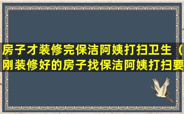 房子才装修完保洁阿姨打扫卫生（刚装修好的房子找保洁阿姨打扫要多少钱）