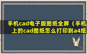 手机cad电子版图纸全屏（手机上的cad图纸怎么打印到a4纸上）