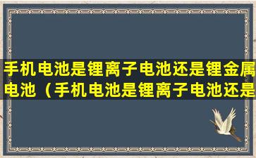 手机电池是锂离子电池还是锂金属电池（手机电池是锂离子电池还是锂金属电池呢）