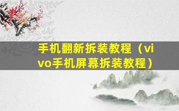 手机翻新拆装教程（vivo手机屏幕拆装教程）