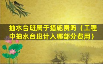 抽水台班属于措施费吗（工程中抽水台班计入哪部分费用）