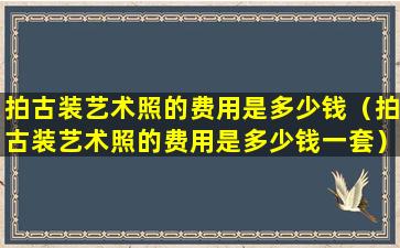 拍古装艺术照的费用是多少钱（拍古装艺术照的费用是多少钱一套）