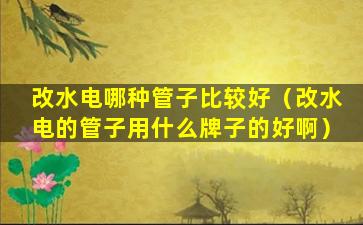 改水电哪种管子比较好（改水电的管子用什么牌子的好啊）