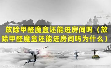 放除甲醛魔盒还能进房间吗（放除甲醛魔盒还能进房间吗为什么）