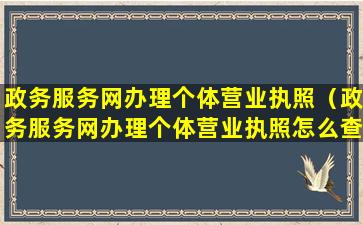 政务服务网办理个体营业执照（政务服务网办理个体营业执照怎么查看进度）