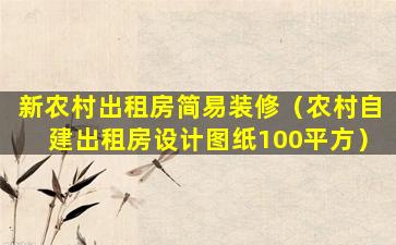 新农村出租房简易装修（农村自建出租房设计图纸100平方）