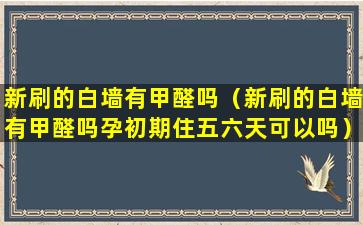 新刷的白墙有甲醛吗（新刷的白墙有甲醛吗孕初期住五六天可以吗）