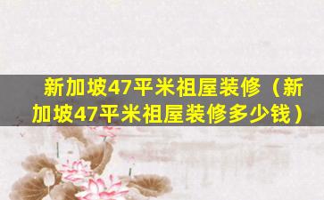 新加坡47平米祖屋装修（新加坡47平米祖屋装修多少钱）