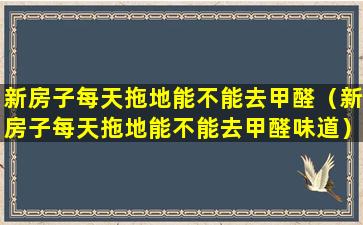 新房子每天拖地能不能去甲醛（新房子每天拖地能不能去甲醛味道）