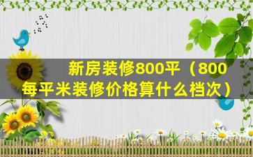 新房装修800平（800每平米装修价格算什么档次）