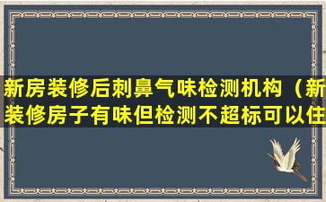 新房装修后刺鼻气味检测机构（新装修房子有味但检测不超标可以住吗）