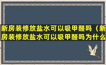 新房装修放盐水可以吸甲醛吗（新房装修放盐水可以吸甲醛吗为什么）