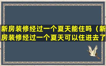 新房装修经过一个夏天能住吗（新房装修经过一个夏天可以住进去了吗）