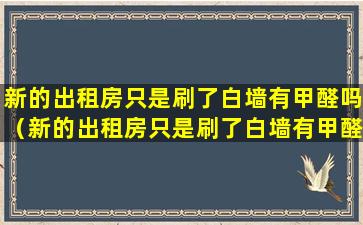 新的出租房只是刷了白墙有甲醛吗（新的出租房只是刷了白墙有甲醛吗为什么）