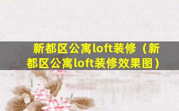 新都区公寓loft装修（新都区公寓loft装修效果图）