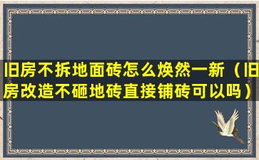 旧房不拆地面砖怎么焕然一新（旧房改造不砸地砖直接铺砖可以吗）