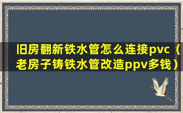 旧房翻新铁水管怎么连接pvc（老房子铸铁水管改造ppv多钱）