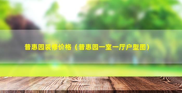 普惠园装修价格（普惠园一室一厅户型图）