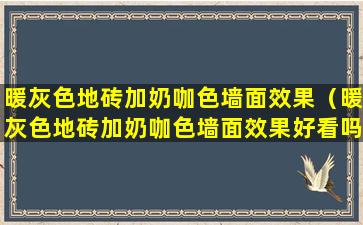 暖灰色地砖加奶咖色墙面效果（暖灰色地砖加奶咖色墙面效果好看吗）