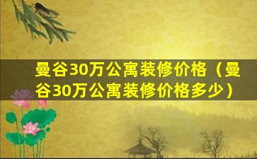 曼谷30万公寓装修价格（曼谷30万公寓装修价格多少）