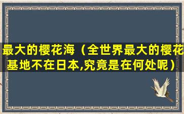 最大的樱花海（全世界最大的樱花基地不在日本,究竟是在何处呢）