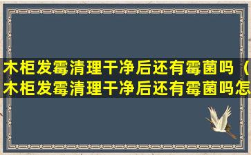 木柜发霉清理干净后还有霉菌吗（木柜发霉清理干净后还有霉菌吗怎么处理）