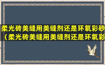 柔光砖美缝用美缝剂还是环氧彩砂（柔光砖美缝用美缝剂还是环氧彩砂效果好）