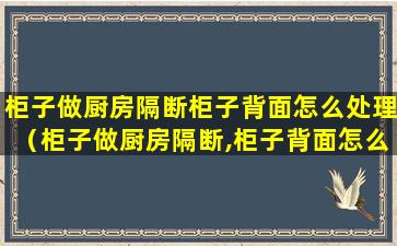 柜子做厨房隔断柜子背面怎么处理（柜子做厨房隔断,柜子背面怎么处理）