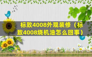 标致4008外观装修（标致4008烧机油怎么回事）