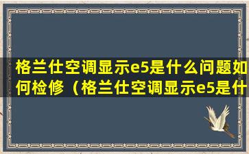 格兰仕空调显示e5是什么问题如何检修（格兰仕空调显示e5是什么问题如何检修）