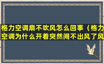 格力空调扇不吹风怎么回事（格力空调为什么开着突然间不出风了风扇也变了）