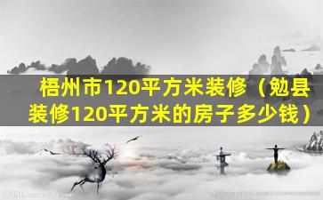 梧州市120平方米装修（勉县装修120平方米的房子多少钱）