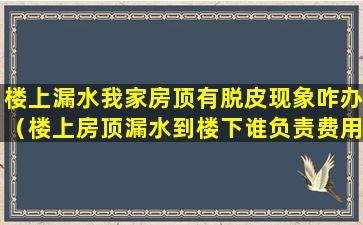 楼上漏水我家房顶有脱皮现象咋办（楼上房顶漏水到楼下谁负责费用怎样赔偿）