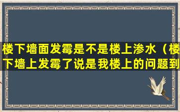 楼下墙面发霉是不是楼上渗水（楼下墙上发霉了说是我楼上的问题到底是谁的问题）