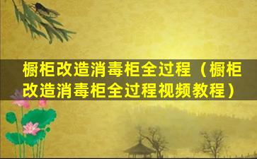 橱柜改造消毒柜全过程（橱柜改造消毒柜全过程视频教程）