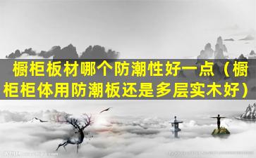 橱柜板材哪个防潮性好一点（橱柜柜体用防潮板还是多层实木好）