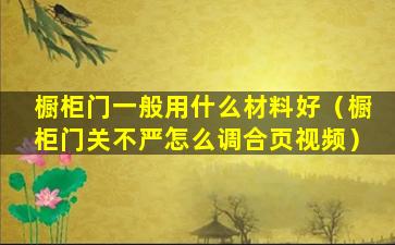 橱柜门一般用什么材料好（橱柜门关不严怎么调合页视频）