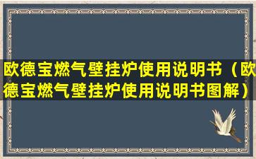 欧德宝燃气壁挂炉使用说明书（欧德宝燃气壁挂炉使用说明书图解）