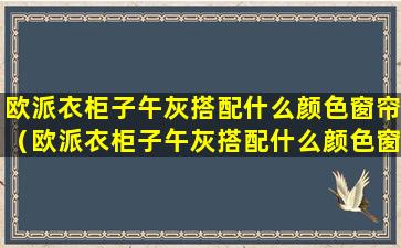 欧派衣柜子午灰搭配什么颜色窗帘（欧派衣柜子午灰搭配什么颜色窗帘好看）