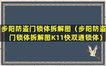 步阳防盗门锁体拆解图（步阳防盗门锁体拆解图K11快双通锁体）