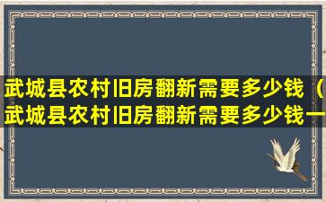 武城县农村旧房翻新需要多少钱（武城县农村旧房翻新需要多少钱一平米）