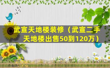 武宣天地楼装修（武宣二手天地楼出售50到120万）