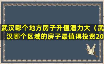 武汉哪个地方房子升值潜力大（武汉哪个区域的房子最值得投资2020）