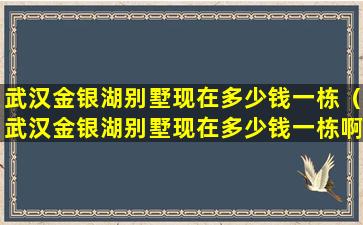 武汉金银湖别墅现在多少钱一栋（武汉金银湖别墅现在多少钱一栋啊）