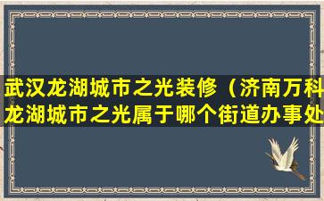 武汉龙湖城市之光装修（济南万科龙湖城市之光属于哪个街道办事处）