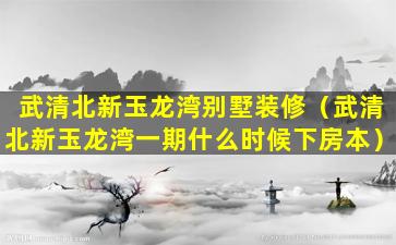 武清北新玉龙湾别墅装修（武清北新玉龙湾一期什么时候下房本）