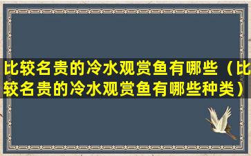 比较名贵的冷水观赏鱼有哪些（比较名贵的冷水观赏鱼有哪些种类）