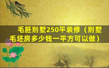 毛胚别墅250平装修（别墅毛坯房多少钱一平方可以做）