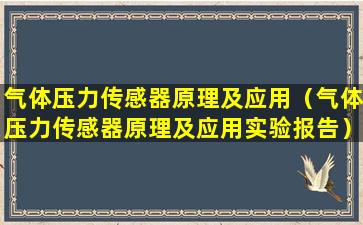 气体压力传感器原理及应用（气体压力传感器原理及应用实验报告）