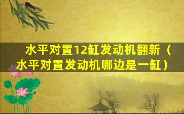 水平对置12缸发动机翻新（水平对置发动机哪边是一缸）